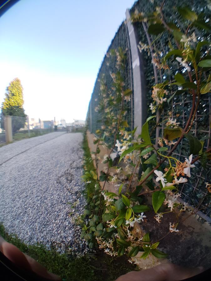 Villa Evillia ลุคคา ภายนอก รูปภาพ